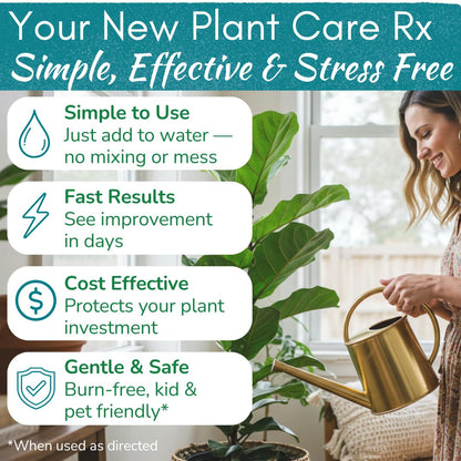 Fiddle Leaf Fig Rescue Drops by Fiddle Leaf Fig Plant Resource | 3-in-1 Liquid Fertilizer, Root Supplement & Immunity Booster (3.3 Fluid Ounces - 100ml)