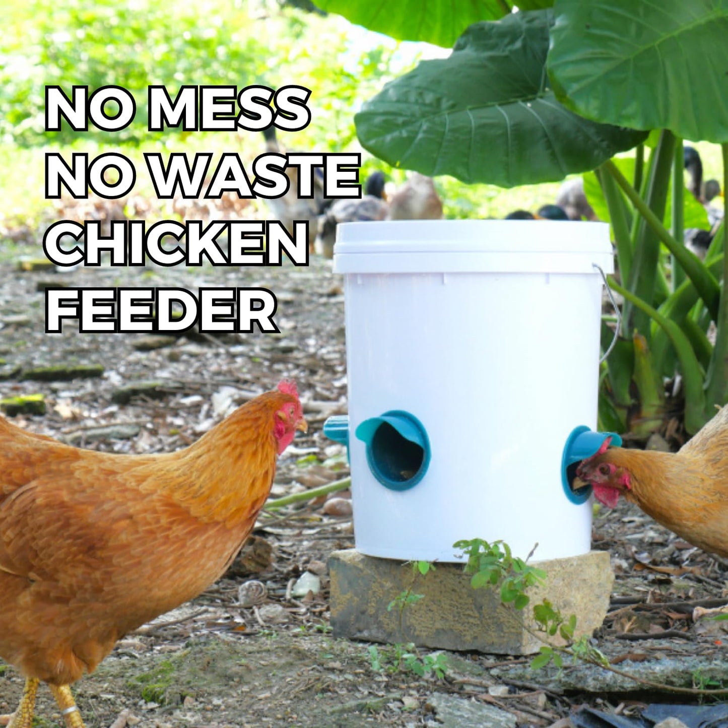 Chicken Feeders No Waste 6 Ports + Holesaw, Automatic Chicken Feeder, Rain Proof Poultry Feeder for Chickens, Duck, Geese, Birds, Quail
