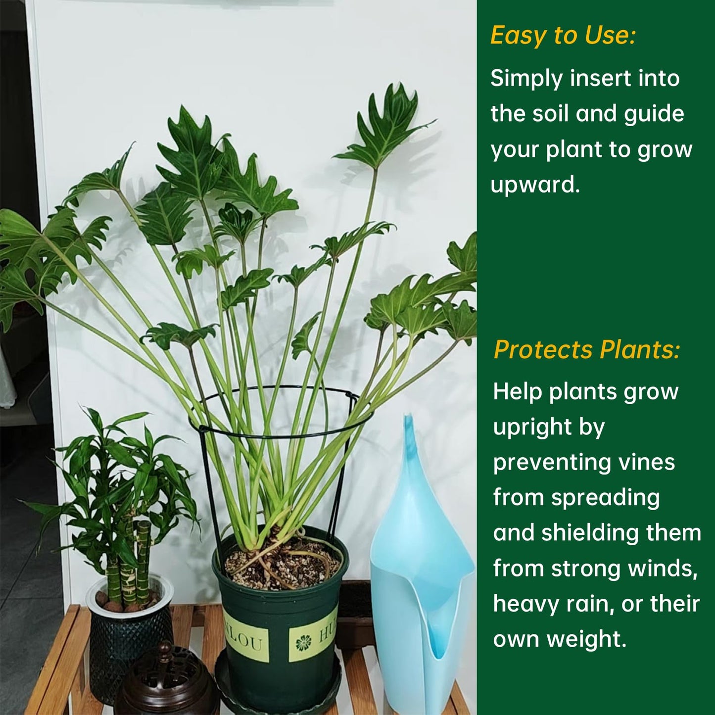12 Pack Garden Plant Support Stakes Ring Cages with Garden Plant Ties, 10" Wide x 16" High Metal Half Round Plant Ring for Peonies, Hydrangea, Tomato, Rose