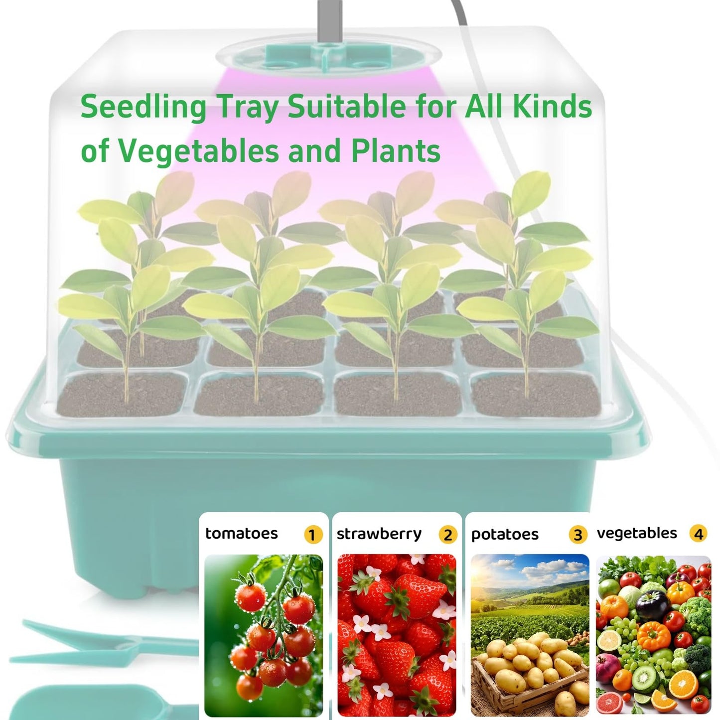 Danolt 5 Pack 60 Cell Seed Trays for Seedlings with Light, Heated Propagators for Seeds, Seed Trays with Lids, Includes 10 Pcs Plant Label and 2 Pcs Tools