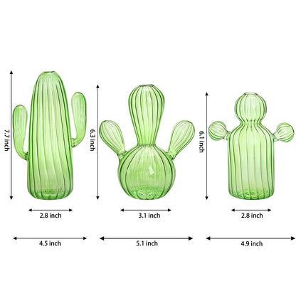 Suwimut 3 Pack Cactus Plant Propagation Station, Mini Terrarium Glass Vases for Indoor Plants, Small Hydroponic Pots for Flowers, Cute Glass Planters Gifts for Women Home Garden Decor