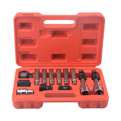 DAYUAN 13 Pc Alternator Freewheel Pulley Car Garage Tool Kit Hex Spline Star Bits