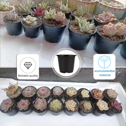 Plastic Plant Pot 50PCS 6inch Nursery Pots Flower Pots Seed Pot Starter Pot for Seedling Nursery Supplies Grow Pot Planter Flower Pot Container for Seedling Cultivation (Black)