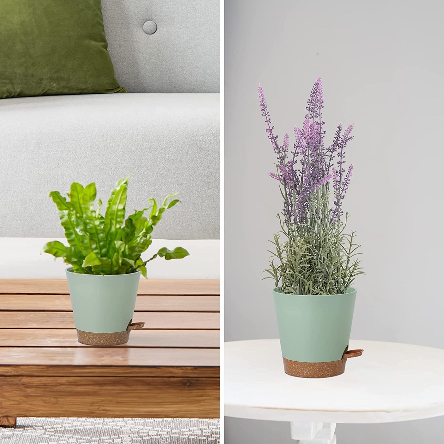 6 Pack Plant Pots 8/7/6.5/6/5.5/5 Inch, Self Watering Plant Pots with Removable High Drainage Deep Reservoir, Plastic Pots for Plants Indoor, Snake Plant, African Violet, Succulent