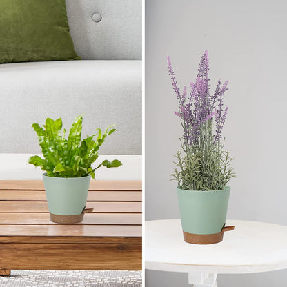 6 Pack Plant Pots 8/7/6.5/6/5.5/5 Inch, Self Watering Plant Pots with Removable High Drainage Deep Reservoir, Plastic Pots for Plants Indoor, Snake Plant, African Violet, Succulent