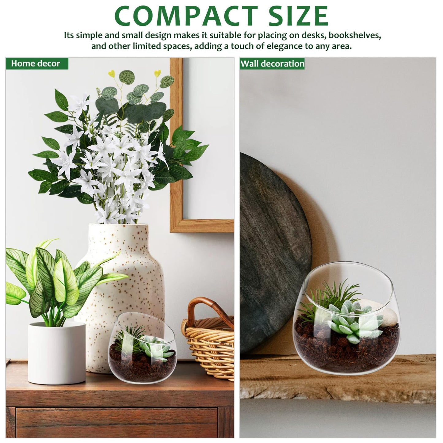 Toddmomy Slanted Mouth Glass Vase Plant Terrarium 1.86 Inch Transparent Planter for Indoor Succulents Moss Small Decorative Bowl Vase for Home Office Garden