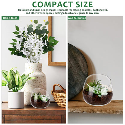 Toddmomy Slanted Mouth Glass Vase Plant Terrarium 1.86 Inch Transparent Planter for Indoor Succulents Moss Small Decorative Bowl Vase for Home Office Garden