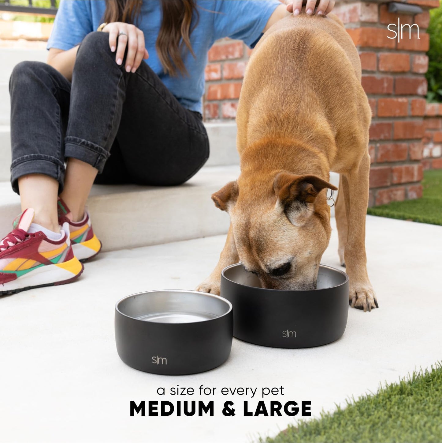 Simple Modern Stainless Steel Pet Bowl for Dogs & Cats | Insulated Stainless Steel Food Bowls for Dog Cat | Bentley Collection | Medium (32oz) | Sea Glass Sage