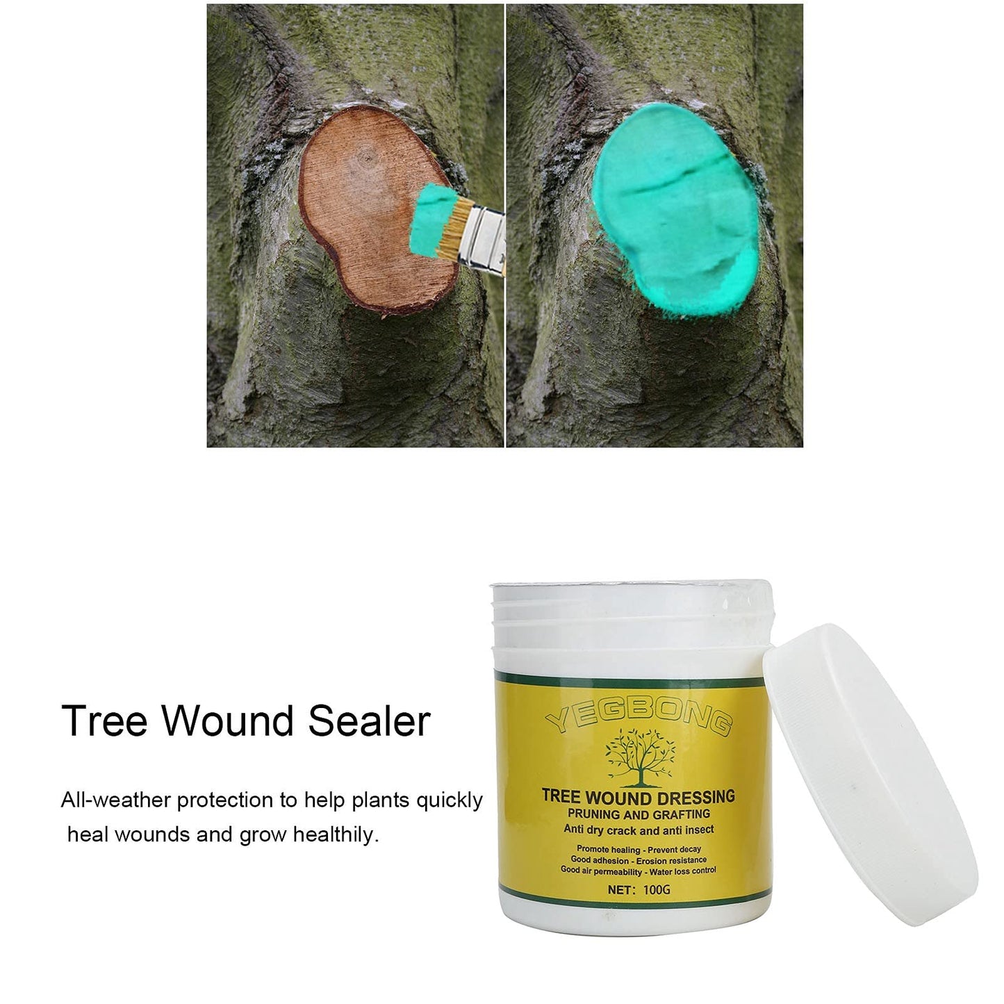 Alvinlite 300g Tree Wound Pruning Sealer with Brush, Tree Wound Dressing for Pruned and Damaged Trees, Tree Shrub Seal Repair Paste, Ready to Use Protective Seal for Trees, Shrubs