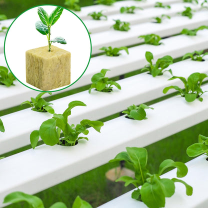 144Pcs Rockwool Grow Cubes - 1.5×1.2×1.2Inch Stonewool Starter Plugs for Rapid Plant Growth - Starter Cubes Plugs with Holes for Hydroponic, Seeds Germination and Soilless Growing