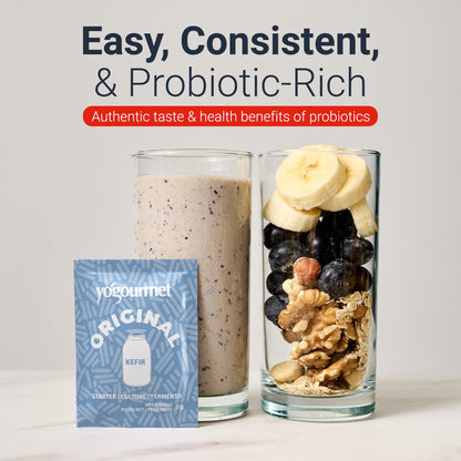 Yogourmet Kefir Starter (12 Sachets = 12 Liters of Kefir) - Make kefir at Home - Starter Culture - All Natural, Gluten Free, Kosher, Halal - 3 g Sachets