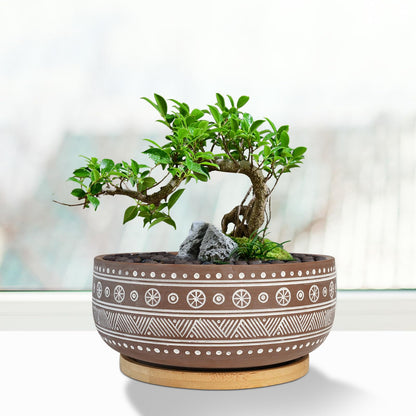 Thirtypot 8 Inch Terracotta Succulent Planter Pot with Drainage Hole and Bamboo Tray, Brown Round Shallow Bonsai Pot for Indoor Plants