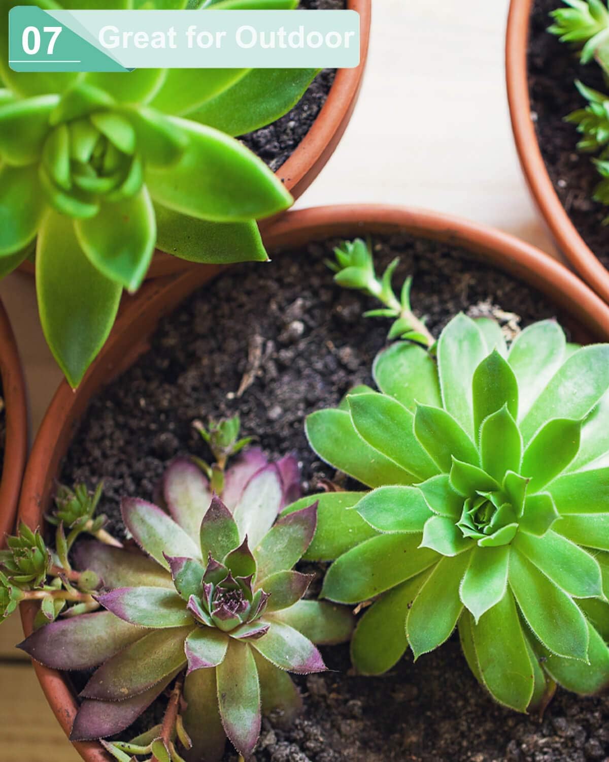 3.7 Inch Terracotta Shallow Succulent Pots - 6 Pack Terra Cotta Clay Pot with Saucer, Cacuts Indoor and Outdoor Planters with Drainage Hole