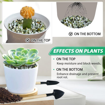 Succulent Rocks for Plants Tiny Pebbles for Planters Pea Gravel Bulk Course Sand Soil Small Decorative Stones for Indoor Bonsai Pots Cactus Top Dressing Aquarium Garden Landscape,Green,4.8LB