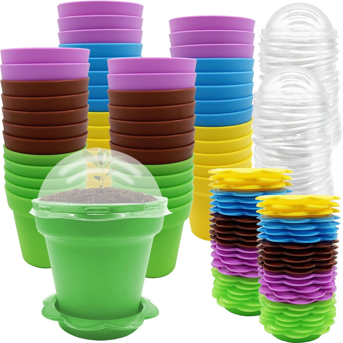PURPLE STAR 1N 50 Packs Cupcake Plant Nursery Pots with Humidity Dome- Planting Containers Cups- Small Flower Pots for Indoor Outdoor Plant Succulent Vegetable (Mixed Color)