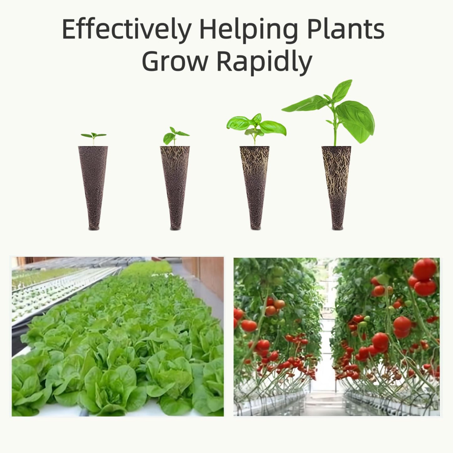 147Pcs Pod Kit for Aerogarden, Hydroponic Grow Anything Kit, 50 Grow Sponges, 50 Pod Labels, 12 Baskets, 12 Planting Domes