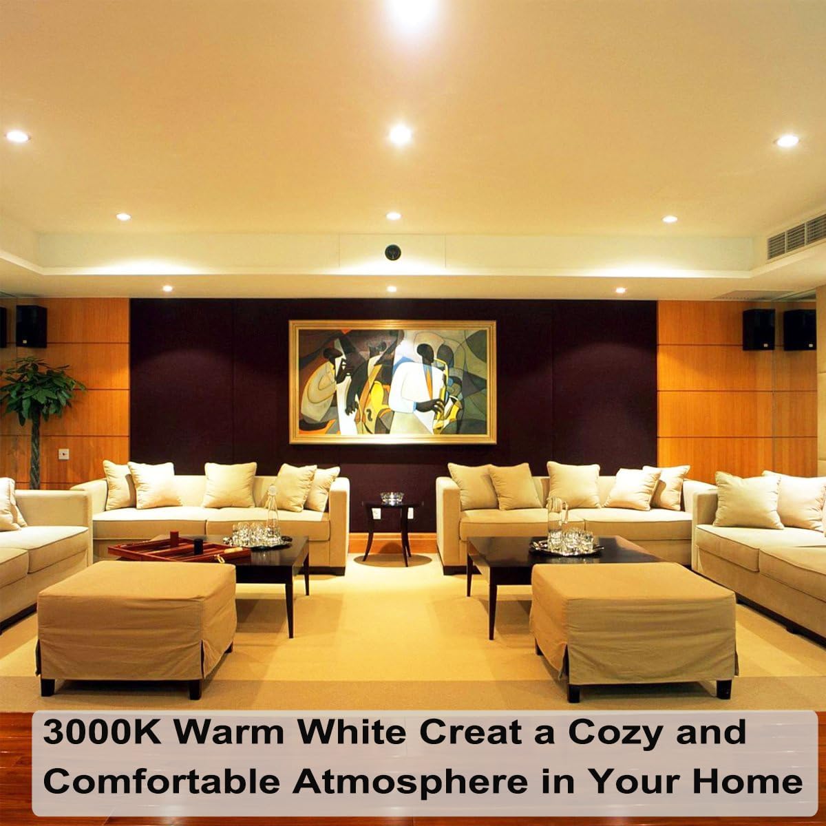 Vinaco Par20 Bulb 50 Watt, 2 Pack High Output Par20 Halogen 50W, Par20 Warm White 3000K, Par20 Flood Dimmable, Long Lasting E26 Great for Track and Recessed Lighting