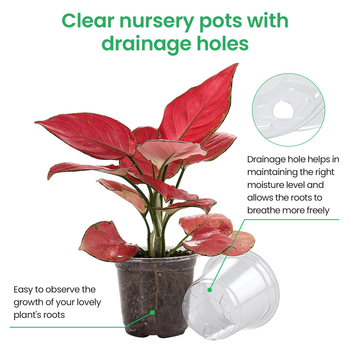 36 Packs 5/4/3.5 Inch Reinforced Clear Nursery Pots with Drainage Hole, Transparent Variety Pack Plastic Plant Pot Seedling Planter Seed Starter Flower 20pcs Labels