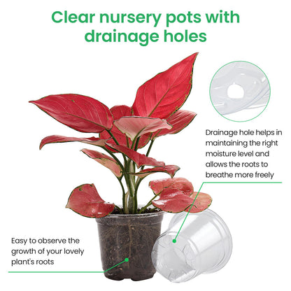 36 Packs 5/4/3.5 Inch Reinforced Clear Nursery Pots with Drainage Hole, Transparent Variety Pack Plastic Plant Pot Seedling Planter Seed Starter Flower 20pcs Labels