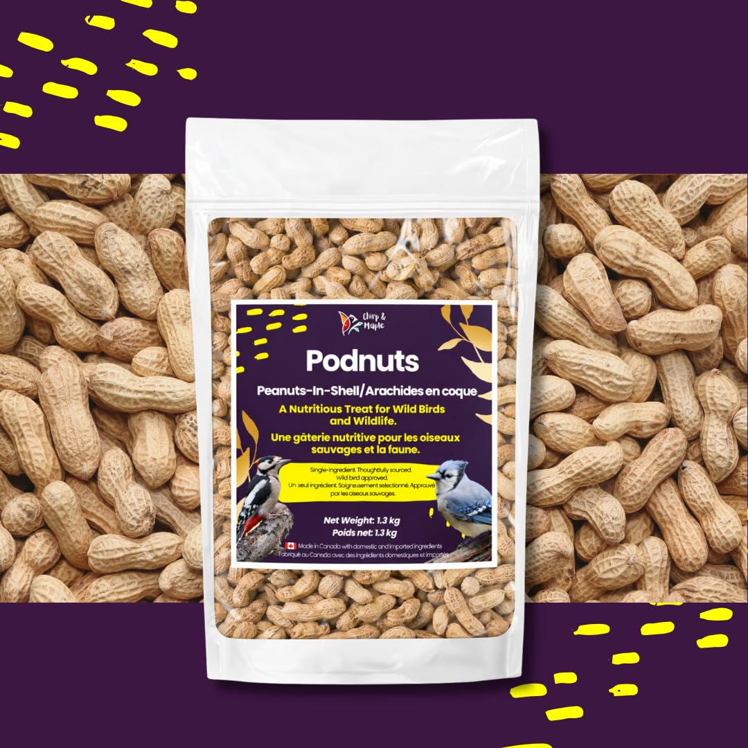 Chirp & Maple, Unsalted Peanuts in Shell for Wild Birds and Wildlife, Raw Unroasted, Podnuts - Wild Bird Food 1.3KG Bag