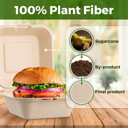 Clamshell Take Out Food Containers with Oil Paper, 6x6" 50-Pack Heavy-Duty Quality to go Containers, Natural Disposable Bagasse, Eco-Friendly Biodegradable Made of Sugar Cane Fibers