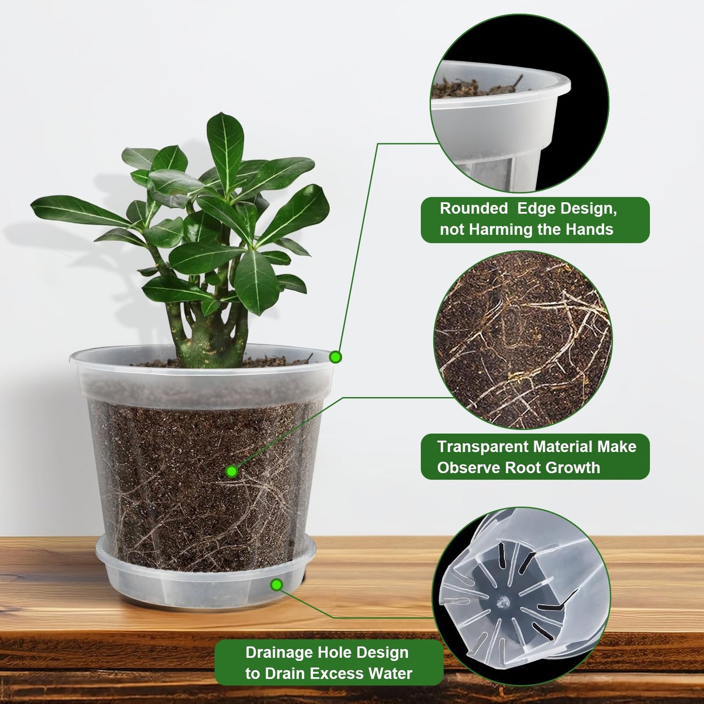 YALIOURS Clear Nursery Pots for Plants, 12Pack 4/5/6 inch Transparent Plastic Plant Pots with Drainage Holes, Garden Pots for Plants Flowers with 12Pack Trays and 15pcs Plant Labels