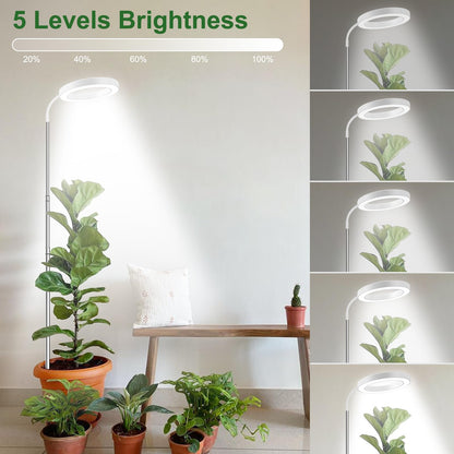 Wolezek Plant Light for Indoor Plants, 80 LEDs 6500K Full Spectrum Grow Light, 65in Large Grow Light, 3 Colors Grow Lamp with 360°Gooseneck, 6/12/16H Timer, 5 Brightness, Height Adjustable, White