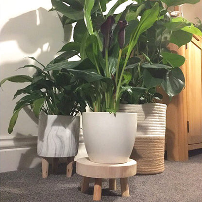 TOPZEA Set of 2 Mini Wooden Stool Display Stand, Short Boho Wood Riser Stools Small Desk Pedestal Stand for Candle, Indoor Plants, Gnome, Counter Decor