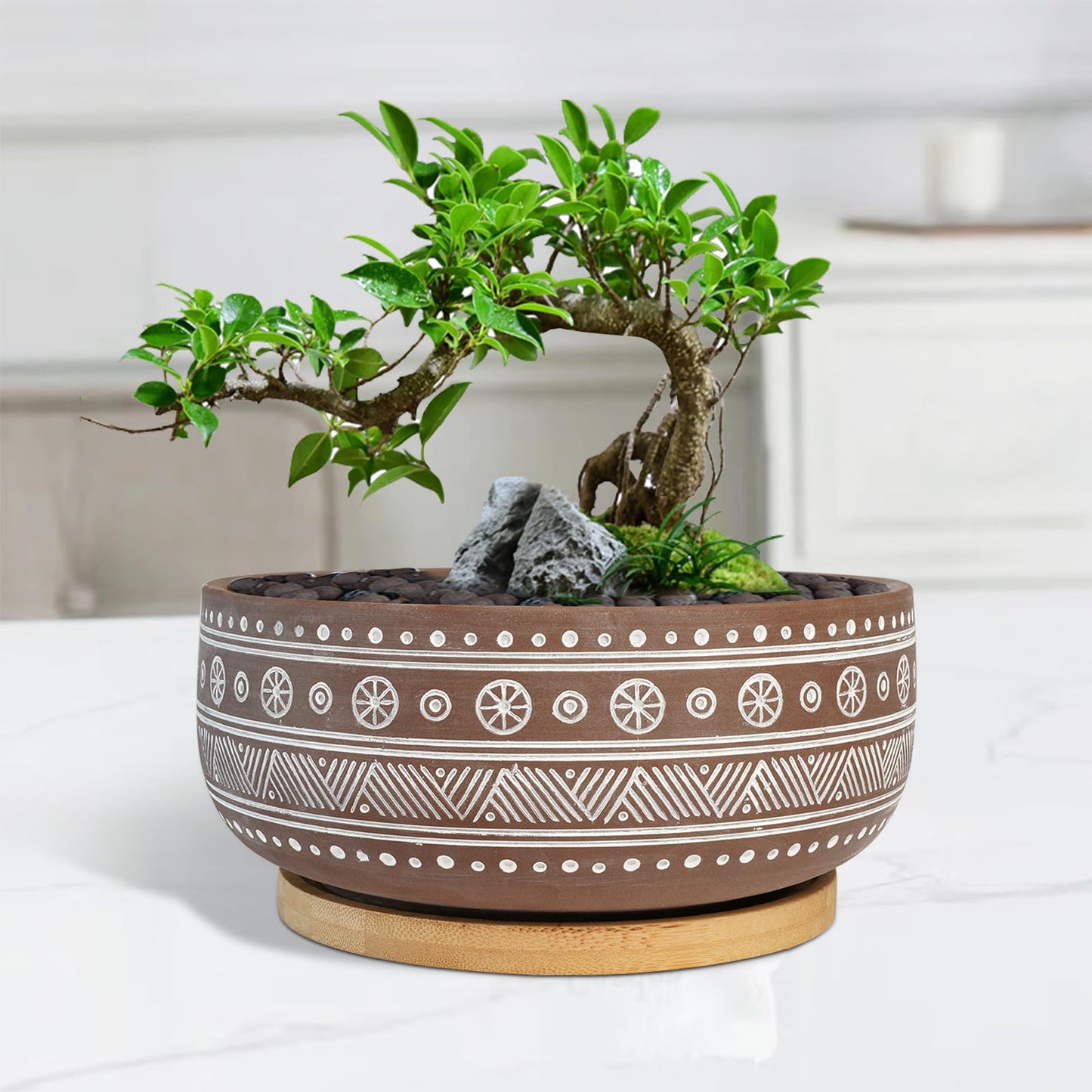 Thirtypot 8 Inch Terracotta Succulent Planter Pot with Drainage Hole and Bamboo Tray, Brown Round Shallow Bonsai Pot for Indoor Plants