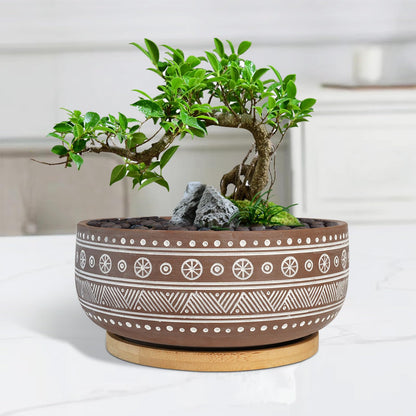 Thirtypot 8 Inch Terracotta Succulent Planter Pot with Drainage Hole and Bamboo Tray, Brown Round Shallow Bonsai Pot for Indoor Plants