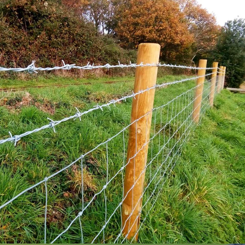4 Point Barbed Wire, 18 Gauge Real Barb Wire Roll 40 Feet Barbwire for Fence, Baseball Bat, Bird Feeder, Garden & Crafts