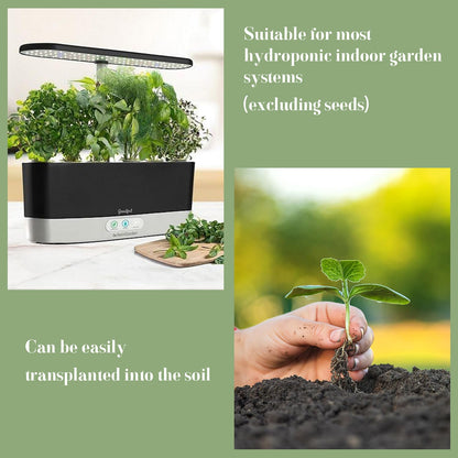 161 Pack Seeds Pod Kit for Aerogarden, Seed Pods Grow Anything Kit with 50 Grow Sponges, 30 Planting Basket, 30 Planting Dome, 50 Labels, 1 Tweezer, Hydroponics Growing System for IDOO, LYKO