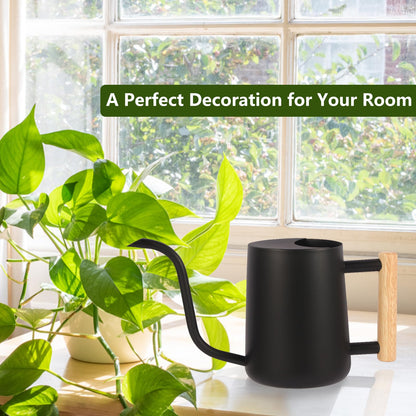Watering Can Indoor Plants, 35oz Small Watering Can Stainless Steel Metal Modern Decorative Watering Pot with Long Spout for Indoor House Plant Bonsai Garden Flowers - Black