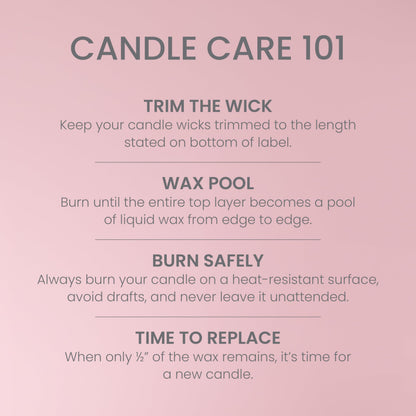 Yankee Candle 3 Wick Candle Jar, Scented Candle with up to 40 Hours of Burn Time, Premium Plant Wax Blend for Consistent Long Lasting Scent from First to Last Burn, Vanilla Cupcake