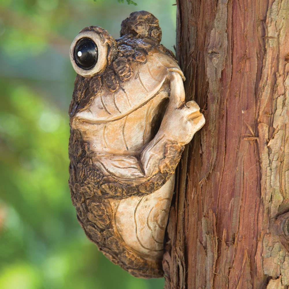 Bits and Pieces - Keep Quiet Frog Tree Peeker - Durable Polyresin Animal Tree-Hugger Sculpture - Lawn and Garden Outdoor Décor Statue