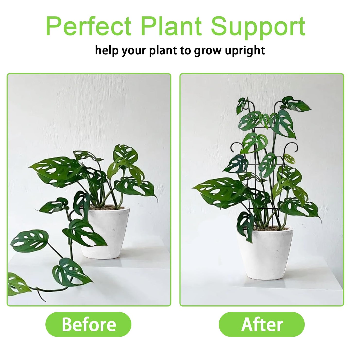 Xeeol 23in Plant Trellis for Potted Plants, Garden Trellis for Climbing Plants Indoor Outdoor 2p, Rustproof House Plant Support for Pothos Hoya Ivy Flower