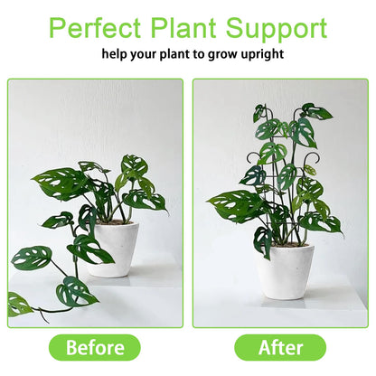 Xeeol 23in Plant Trellis for Potted Plants, Garden Trellis for Climbing Plants Indoor Outdoor 2p, Rustproof House Plant Support for Pothos Hoya Ivy Flower