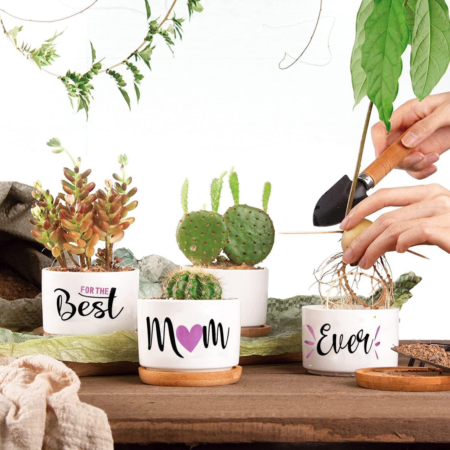 Best Mom Ever Gifts, Best Gifts for Mum from Daughter Son Kids Unique, Best Mom Ever Succulent Pots for Plants Indoor Ceramic Planter, Gift Boxed Birthday