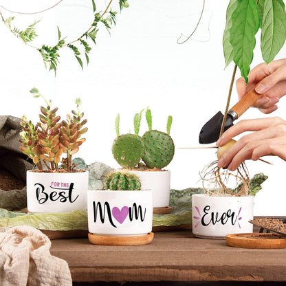 Best Mom Ever Gifts, Best Gifts for Mum from Daughter Son Kids Unique, Best Mom Ever Succulent Pots for Plants Indoor Ceramic Planter, Gift Boxed Birthday