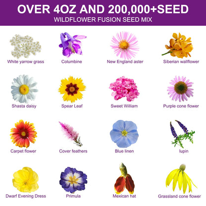 200,000+ Wildflower Seeds [4oz] 16 Variety Perennial Mix - USA-Sourced Seeds for Pollinator Gardens | Attracts Bees/Birds/Butterflies | High Germination Rate for Indoor & Outdoor