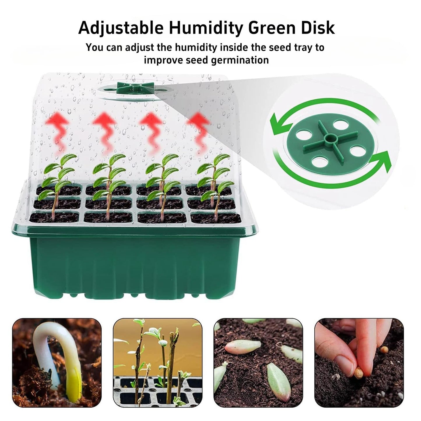 Danolt 5 Pack 60 Cell Seed Trays for Seedlings with Light, Heated Propagators for Seeds, Seed Trays with Lids, Includes 10 Pcs Plant Label and 2 Pcs Tools