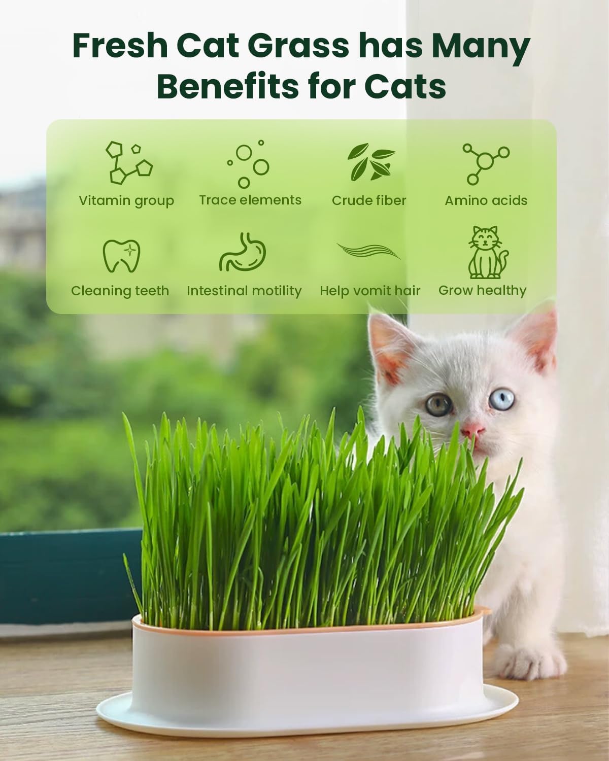 Cat Grass Kit for Indoor Cats - 3 Pack | Pet Wheat Grass Seeds, Grows in 7 Days | Digestive Health & Reduces Hairball | Gift for Cat Lovers with BPA-Free Planters, Soil & Cat Grass Seeds