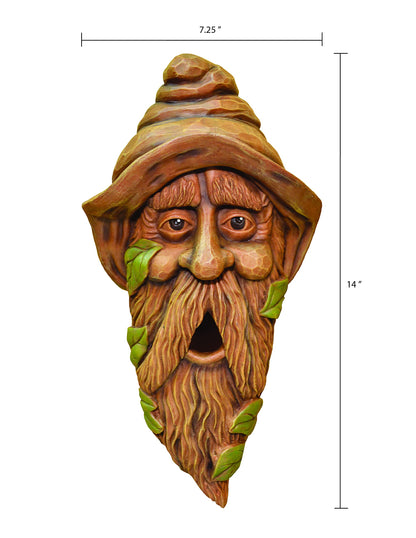 Red Carpet Studios Birdie in The Woods Birdhouse, Long Face Hank