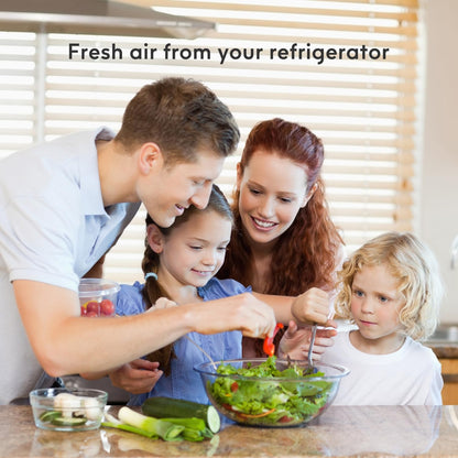 Belvita Refrigerator Air Filter Replacement for Frigidaire, Paultra, Ultrawf PureAir Ultra Electrolux EAFCBF - 6 Pack White