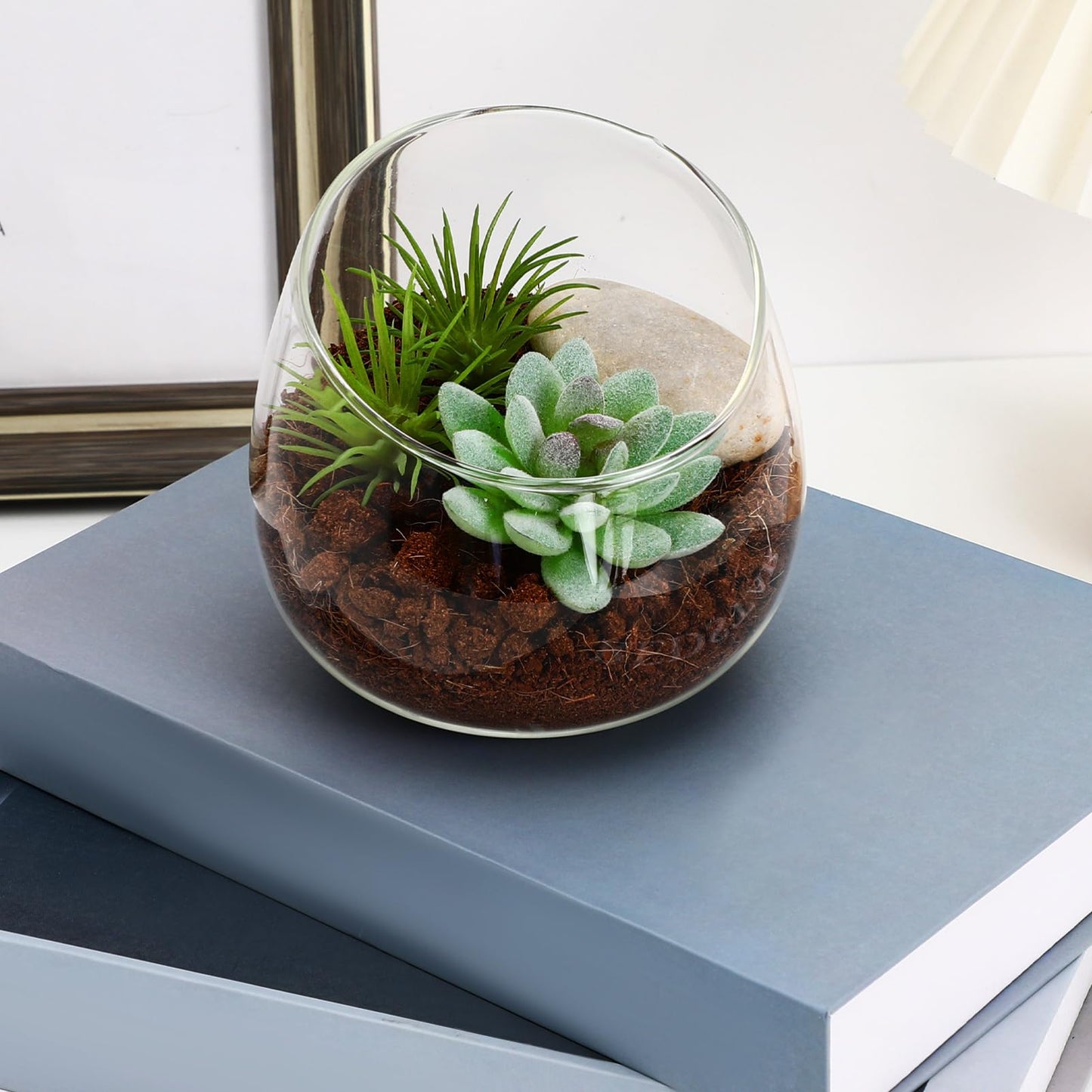 Toddmomy Slanted Mouth Glass Vase Plant Terrarium 1.86 Inch Transparent Planter for Indoor Succulents Moss Small Decorative Bowl Vase for Home Office Garden