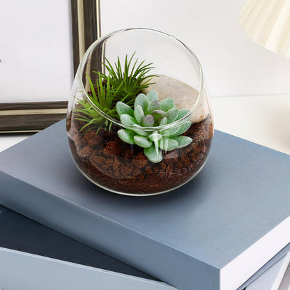 Toddmomy Slanted Mouth Glass Vase Plant Terrarium 1.86 Inch Transparent Planter for Indoor Succulents Moss Small Decorative Bowl Vase for Home Office Garden