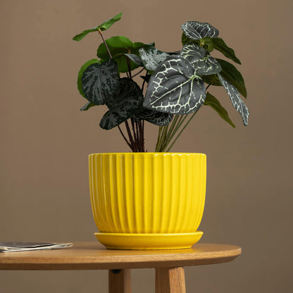 Ceramic Flower Pots Set of 3, 4+5+6 inch Plant Pots for Indoor Plants Ceramic Plant Pots with Tray,Medium Indoor Planters for Aloe Cactus Decorative Pots with Drainage Hole