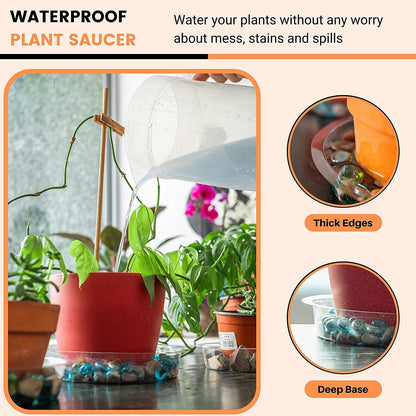 24Pack Clear Plastic Plant Saucers, Flower Pot Drip Trays, Plant Trays for Indoors, Outdoors - Collects Flower Pot Drainage and Excess Water - 6, 8, 10, 12 Inch