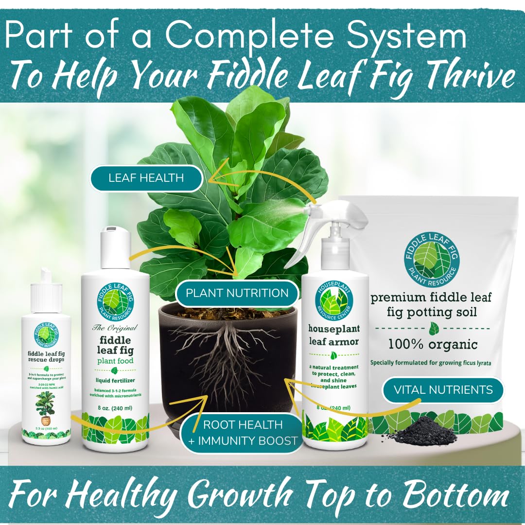 Fiddle Leaf Fig Rescue Drops by Fiddle Leaf Fig Plant Resource | 3-in-1 Liquid Fertilizer, Root Supplement & Immunity Booster (3.3 Fluid Ounces - 100ml)