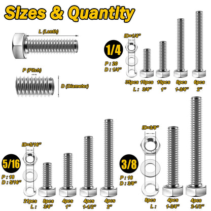 Mywish 254Pcs Bolts and Nuts Assortment, 1/4 20, 5/16 18, 3/8 16 Bolt, Heavy Duty 304 Stainless Steel Bolts and Nuts Kit with Flat Spring Washers, Includes 10 Common Sizes, Fully Threaded